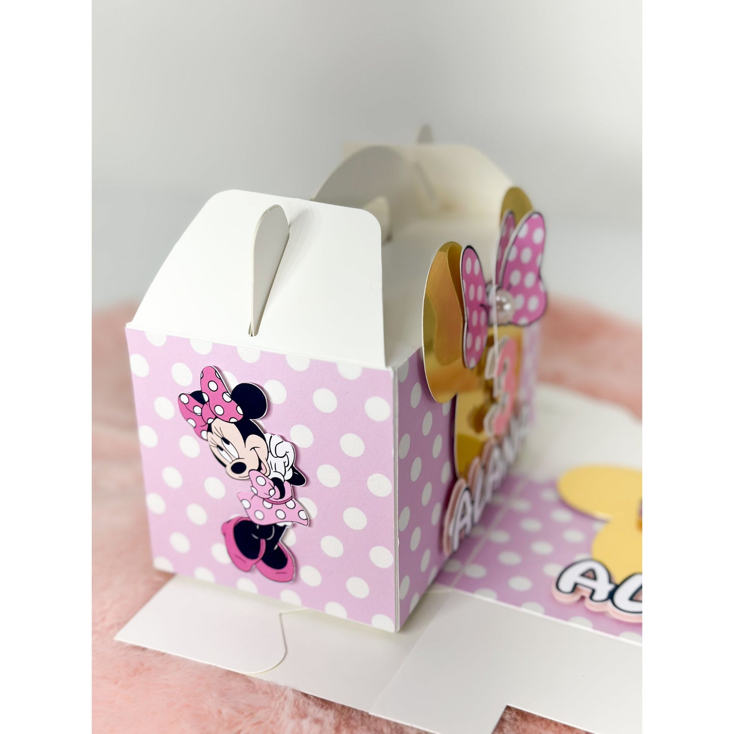 Minnie & Mickey Gable Box