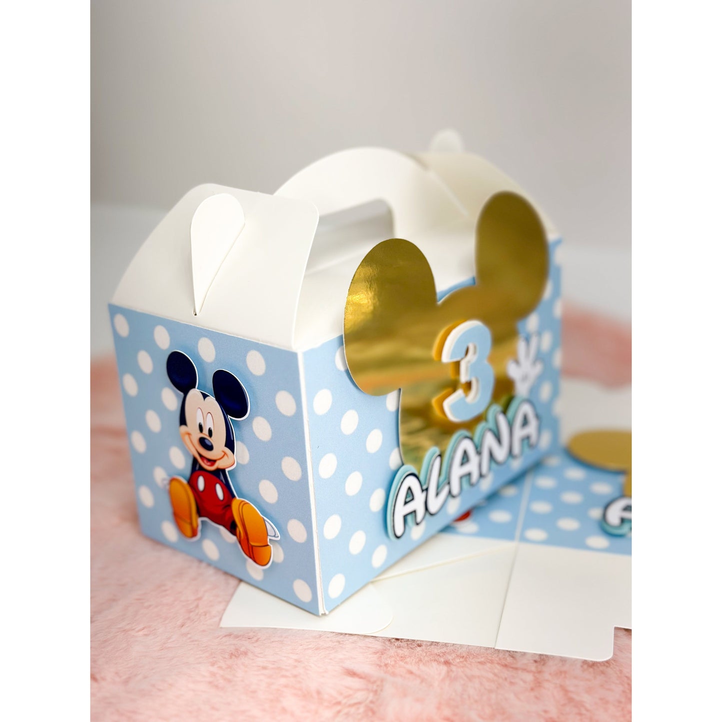 Minnie & Mickey Gable Box